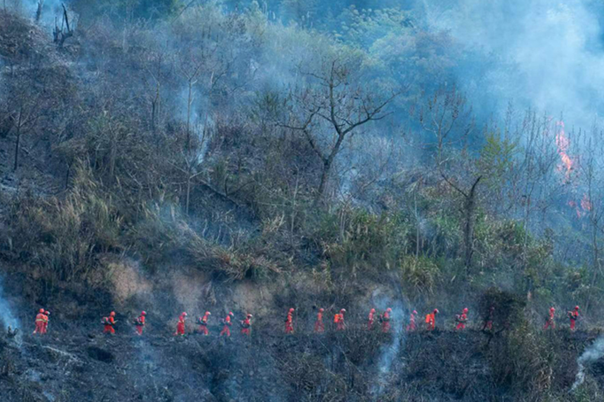 Mạng ad-hoc di động phòng chống cháy rừng